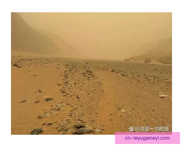 沙尘遮天蔽日笼罩吉达决赛地 沙尘遮天蔽日笼罩吉达决赛地